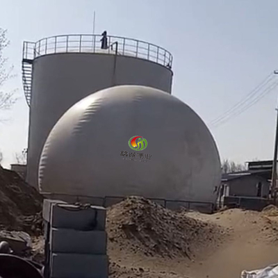 El tanque de almacenamiento del biogás de la planta de embotellamiento del biogás de la planta del biogás del globo