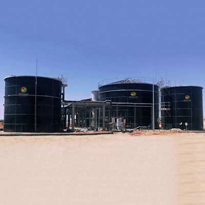 Planta de gas de la planta del biogás CNG de la cogeneración del biogás bio para el precio doméstico