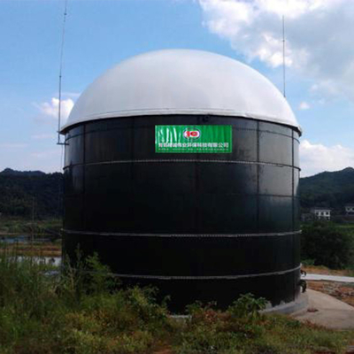 Planta del biogás de la energía de la biomasa y del biogás para la producción eléctrica