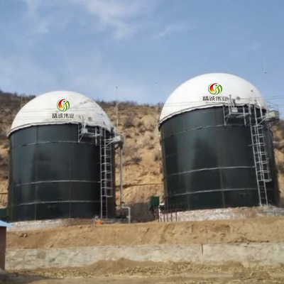 Planta del biogás de la energía de la biomasa y del biogás para la producción eléctrica