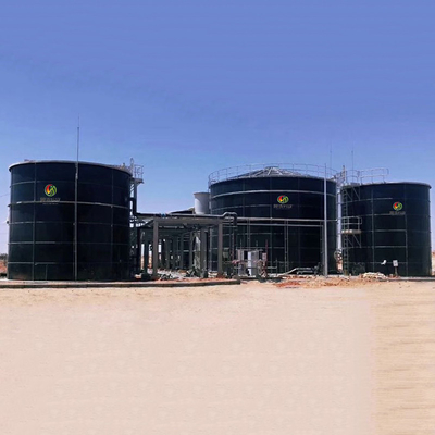 Biogás a la planta de CNG en la digestión anaerobia de la planta del biogás en la producción del biogás