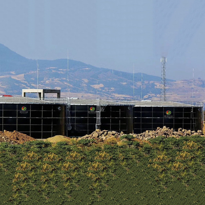 Central eléctrica de la digestión anaerobia de la planta del biogás de Dung Gas Plant Human Waste