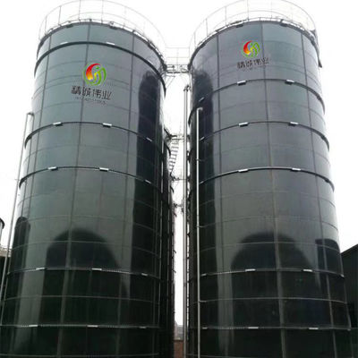 Proyecto verde de la planta del biogás de la digestión anaerobia para el pueblo de la ciudad de la ciudad