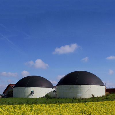 Proyecto de planta de biogás de alta eficiencia con tecnología de digestión anaeróbica
