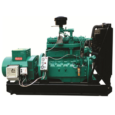 Generador orgánico de la electricidad del combustible con Voltage Regulation automático