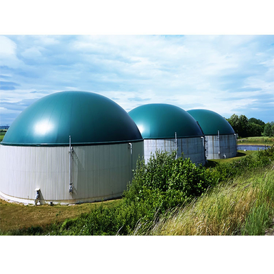 Q235B Reactor anaeróbico con método de agitación de circulación interna
