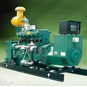 Generador de electricidad de biogás de digestión anaeróbica Bajo nivel de ruido