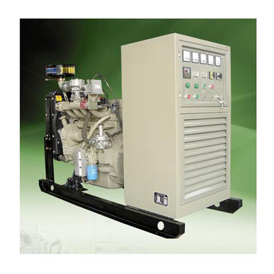 Generador eléctrico del biogás accionado por el motor de los generadores de la biomasa 100KW para el hogar