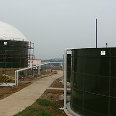 Cama anaerobia del barro del alto de Rate Anaerobic Reactor Kitchen Waste flujo ascendente del digestor