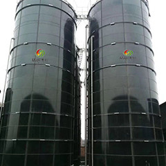Digestión combinada del barro anaerobio del flujo ascendente del reactor del biogás EGSB para el abono del pollo