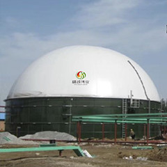 Digestor anaerobio del metano del abono del tratamiento de aguas residuales del reactor de EGSB