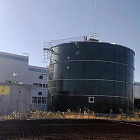Digestor anaerobio del metano del abono del tratamiento de aguas residuales del reactor de EGSB