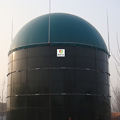 Digestor anaerobio del metano del abono del tratamiento de aguas residuales del reactor de EGSB