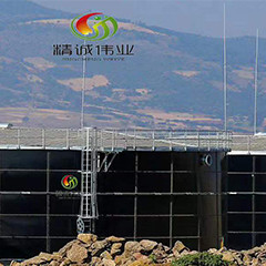Reactor anaerobio de UASB encima del reactor combinado del barro anaerobio del flujo