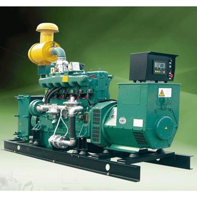 Generador eléctrico del biogás accionado por el motor de los generadores de la biomasa 100KW para el hogar