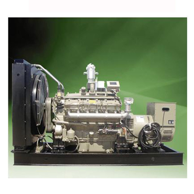 Generador 50HZ/60HZ de la electricidad del biogás del generador de la biomasa 5KW